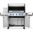  Napoleon Prestige® 665 Connected RSIB - Propane P665VXRSIBPSS IMAGE 2