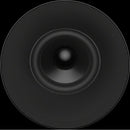  Sony Surround Speakers SA-RS9 IMAGE 10